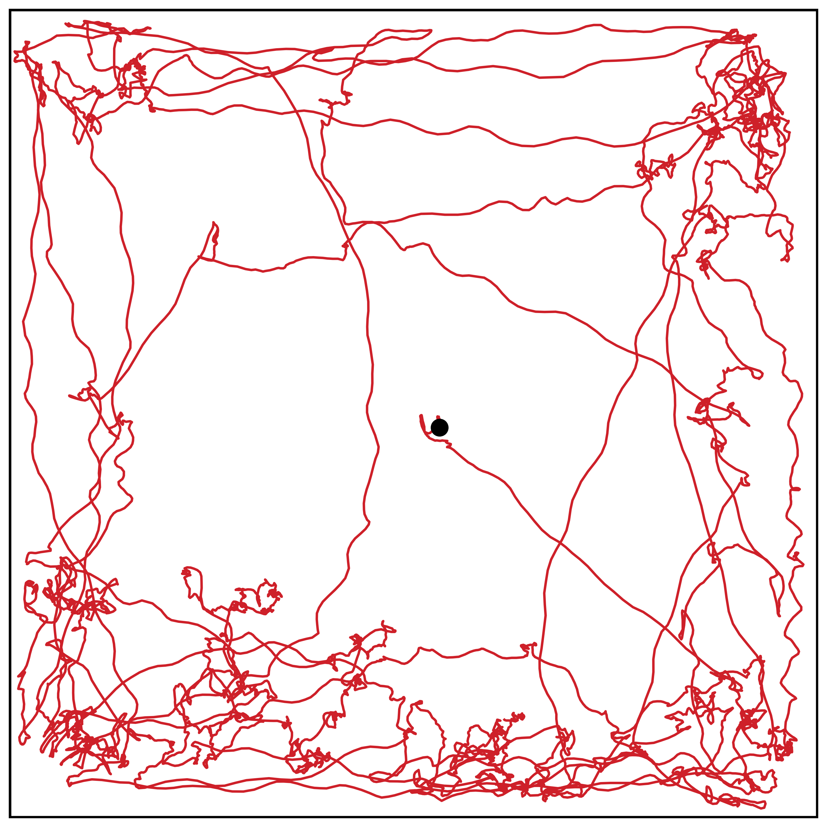 Post-stroke open-field trajectory in red