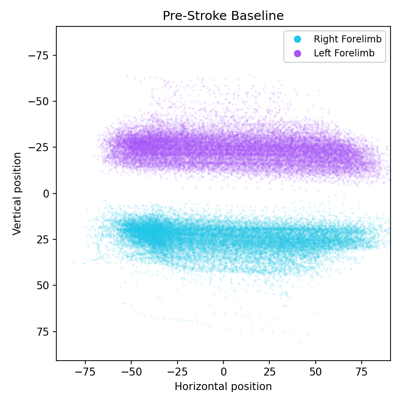 Scatter of left and right forelimb positions over the full recording at pre-stroke baseline