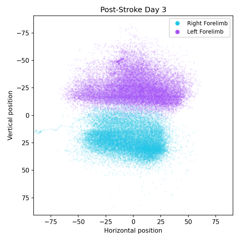 Scatter of left and right forelimb positions over the full recording on post-stroke day 3