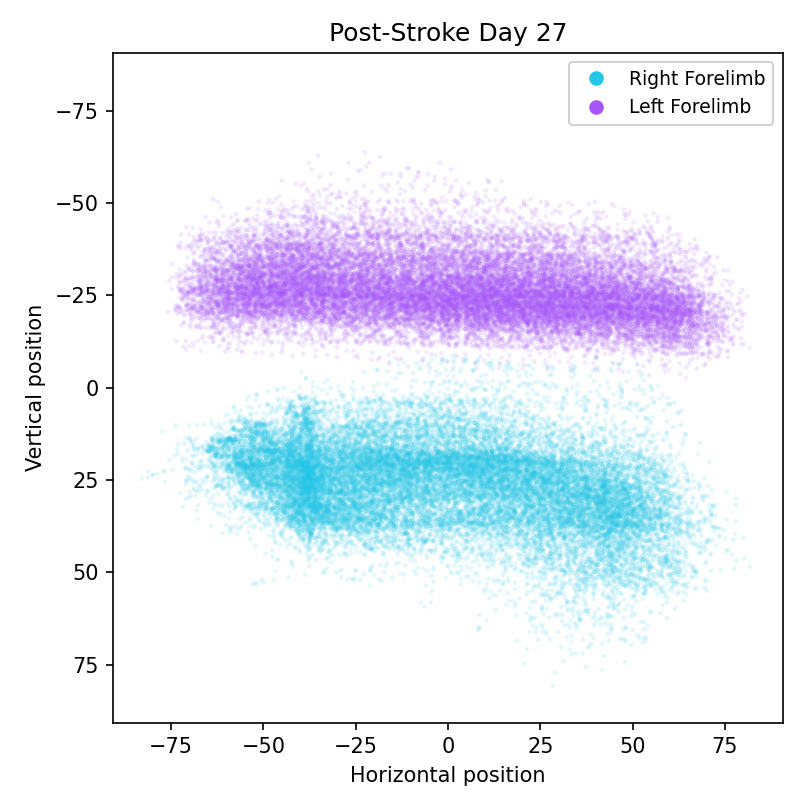 Scatter of left and right forelimb positions over the full recording on post-stroke day 27