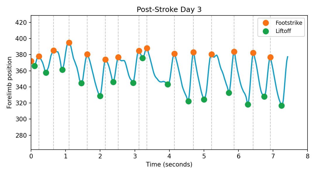 Right forelimb position over time on post-stroke day 3, with footstrikes, liftoffs, and stride boundaries marked