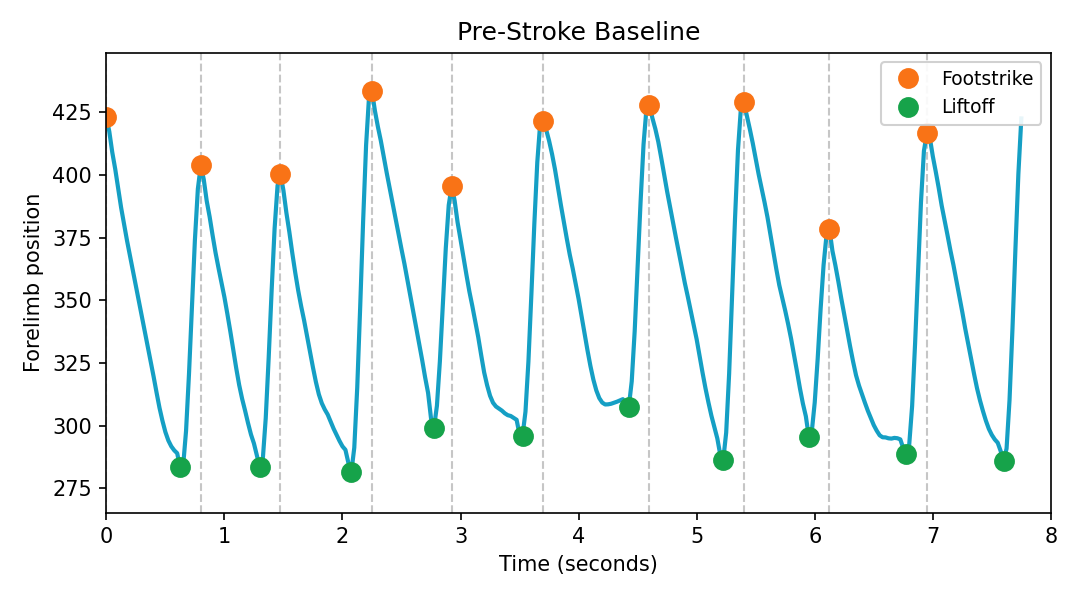 Right forelimb position over time at pre-stroke baseline, with footstrikes, liftoffs, and stride boundaries marked